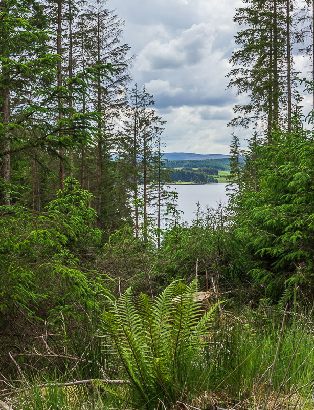 Kielder Water