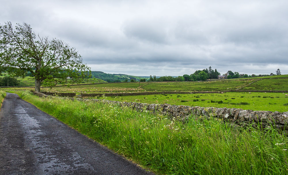 Thorneyburn