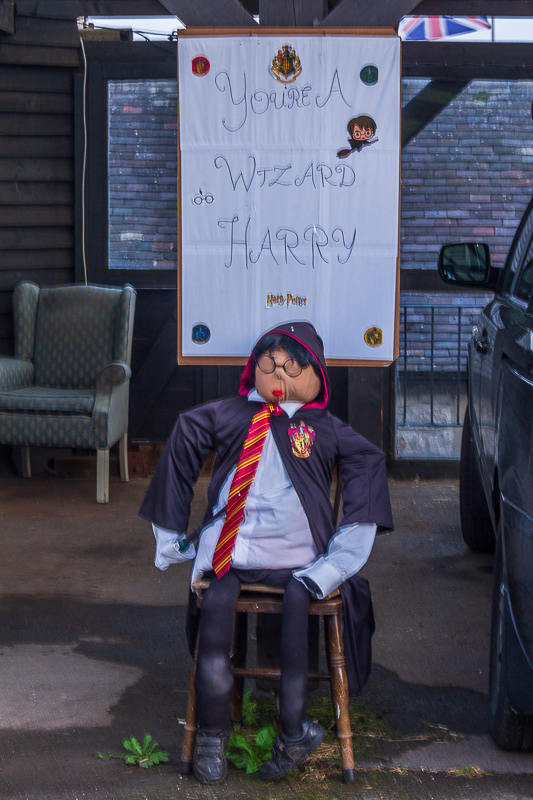 Harry Potter