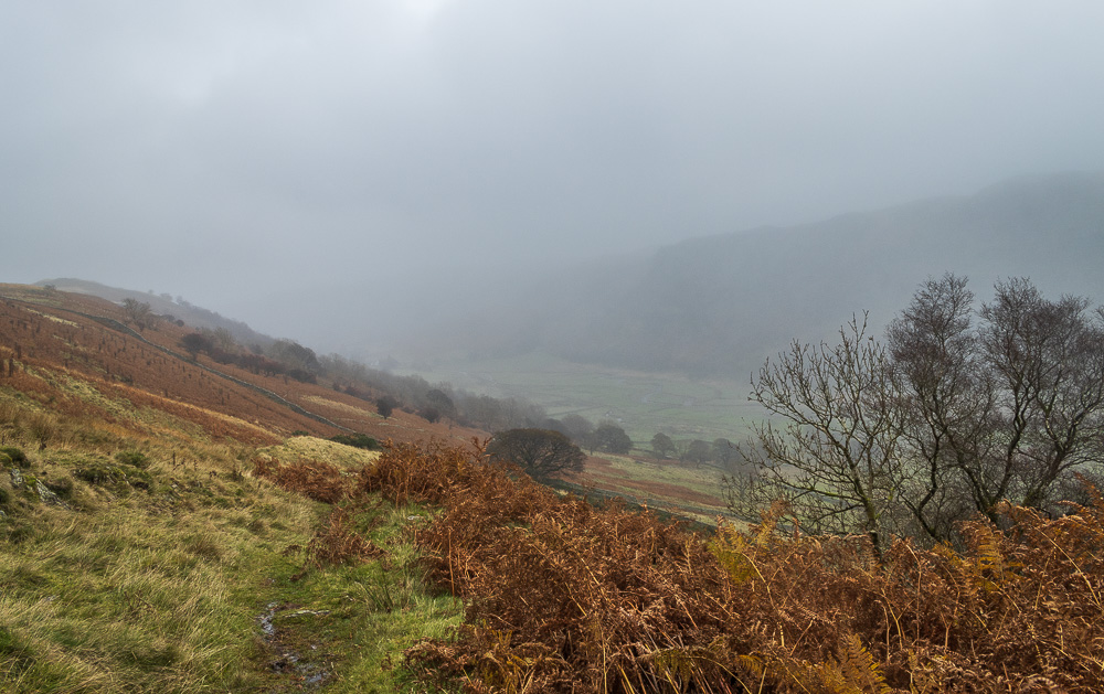 Swindale