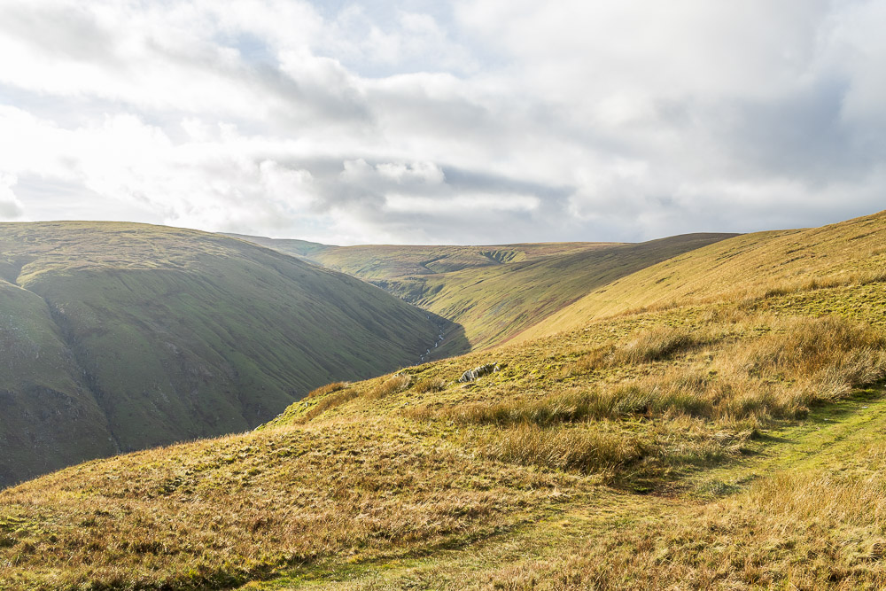 Fordingale Bottom