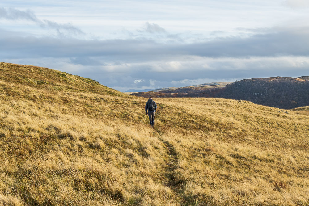 Bampton Fell