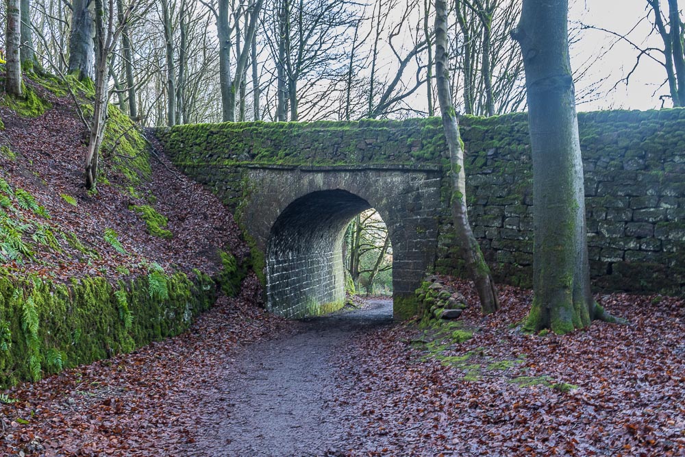 Intake Lane