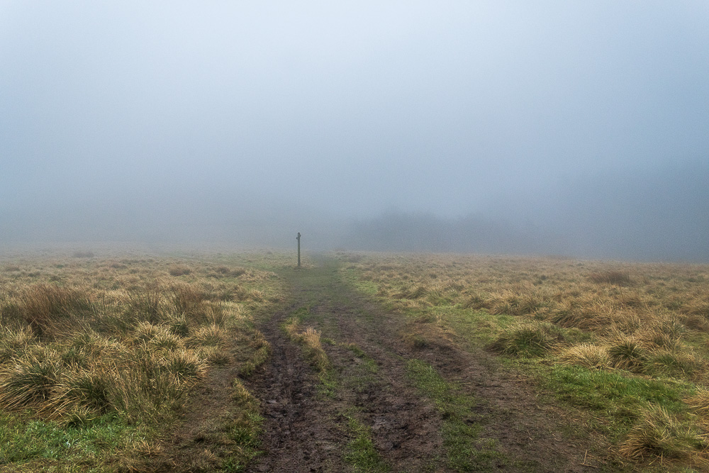Foxlow Edge