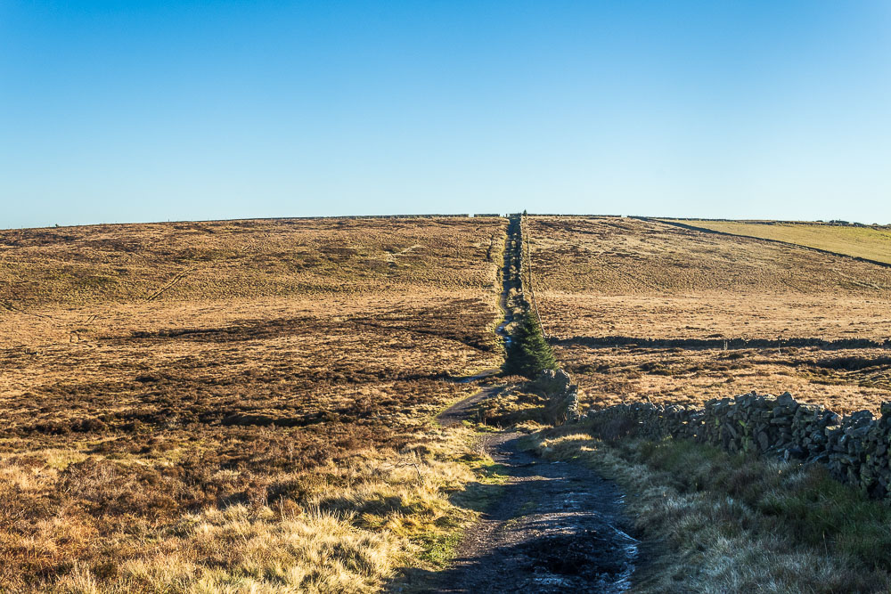 Shining Tor
