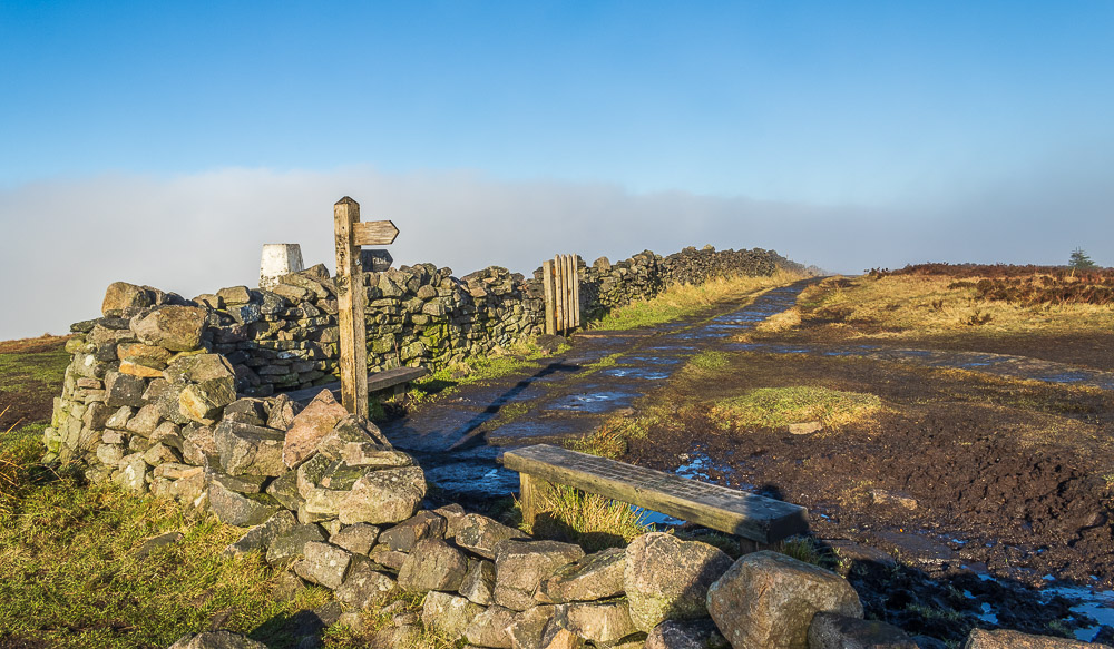 Shining Tor