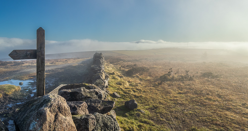 Goyt's Moss