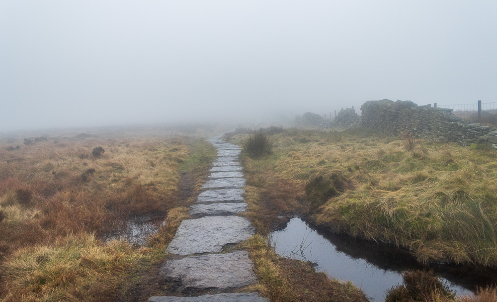 The Tors