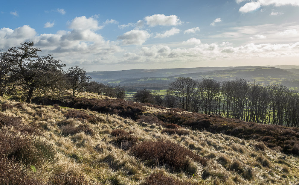 Chatsworth Park