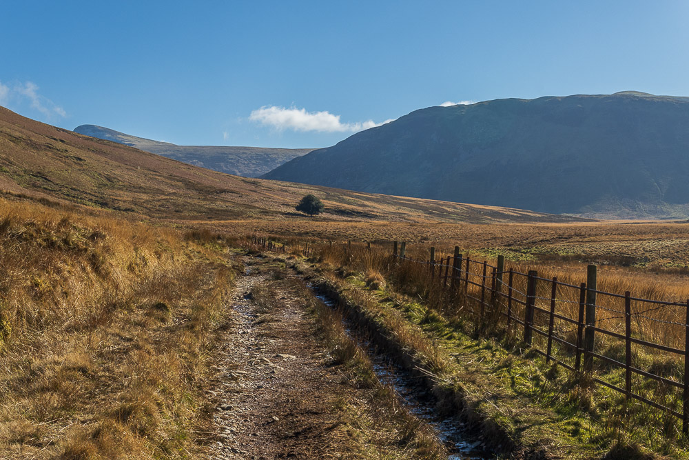 Mosedale