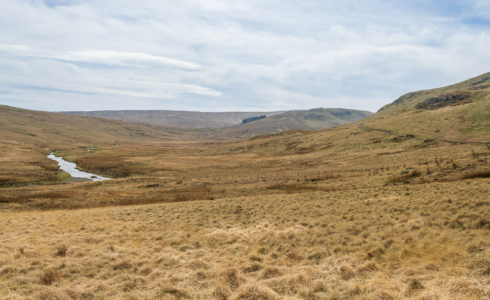 Mosedale