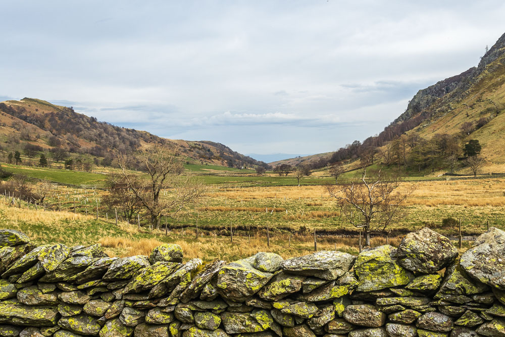 Swindale