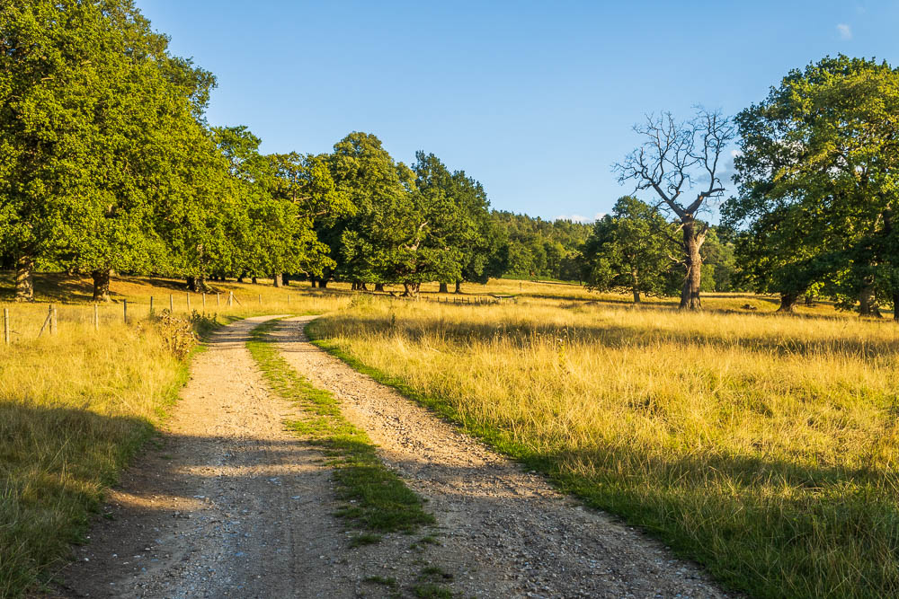 Chatsworth Park