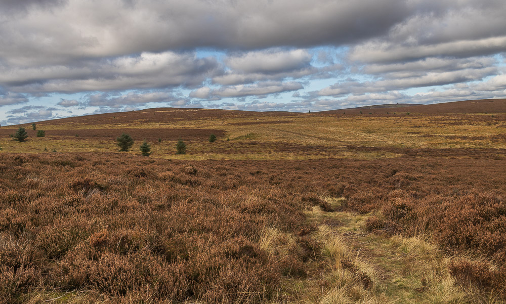 Whitley Pike