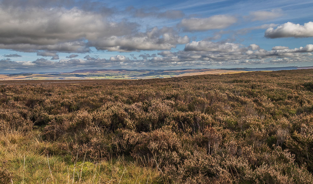 Simonside Hills