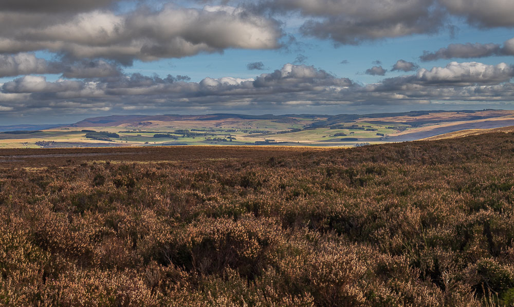 Simonside Hills