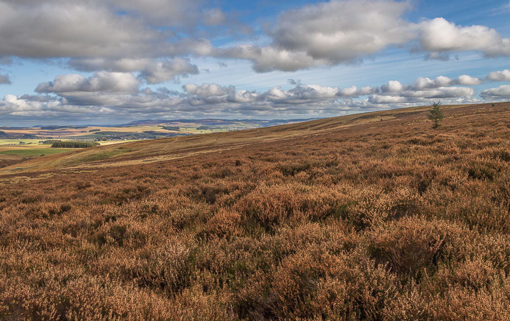 Simonside Hills