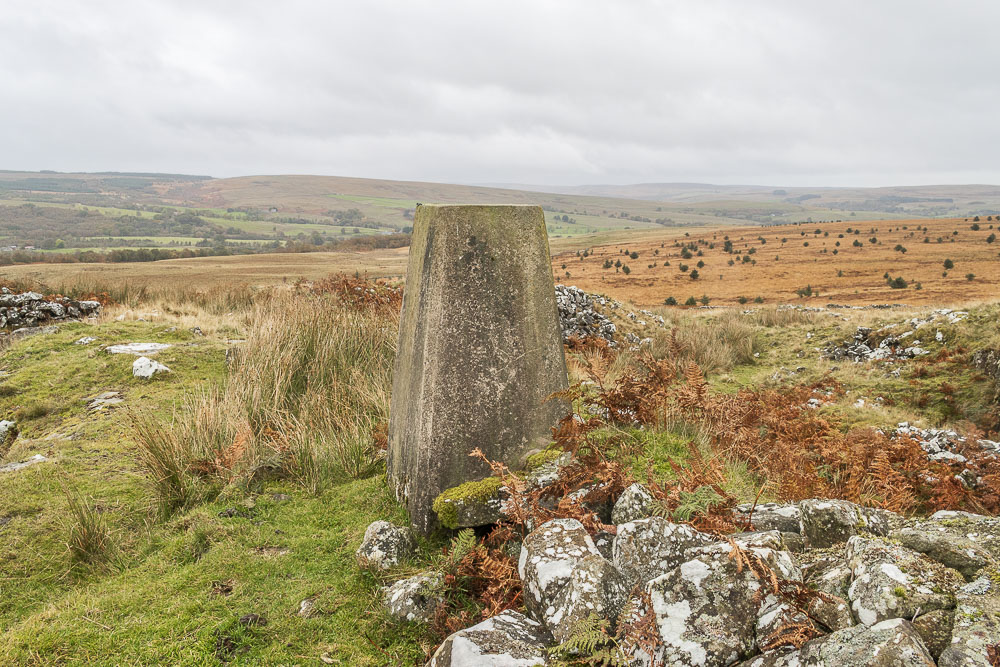 Thorneyburn Common