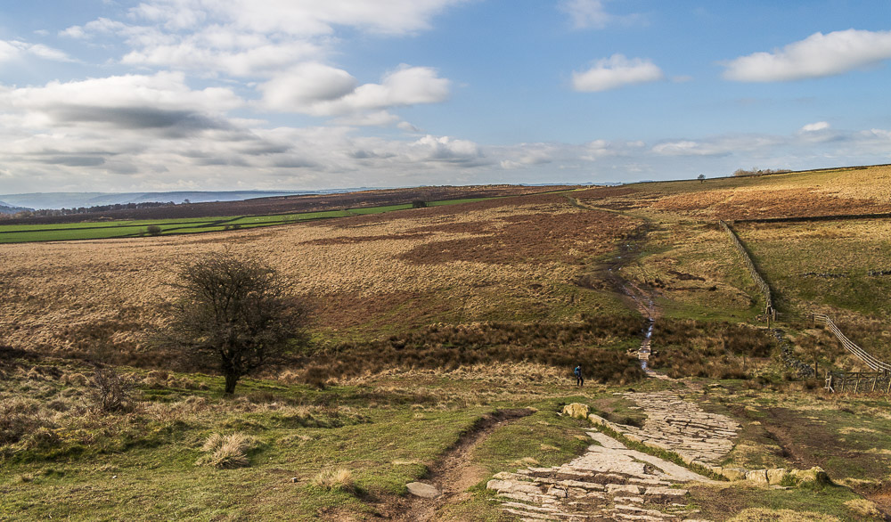 Eaglestone Flat