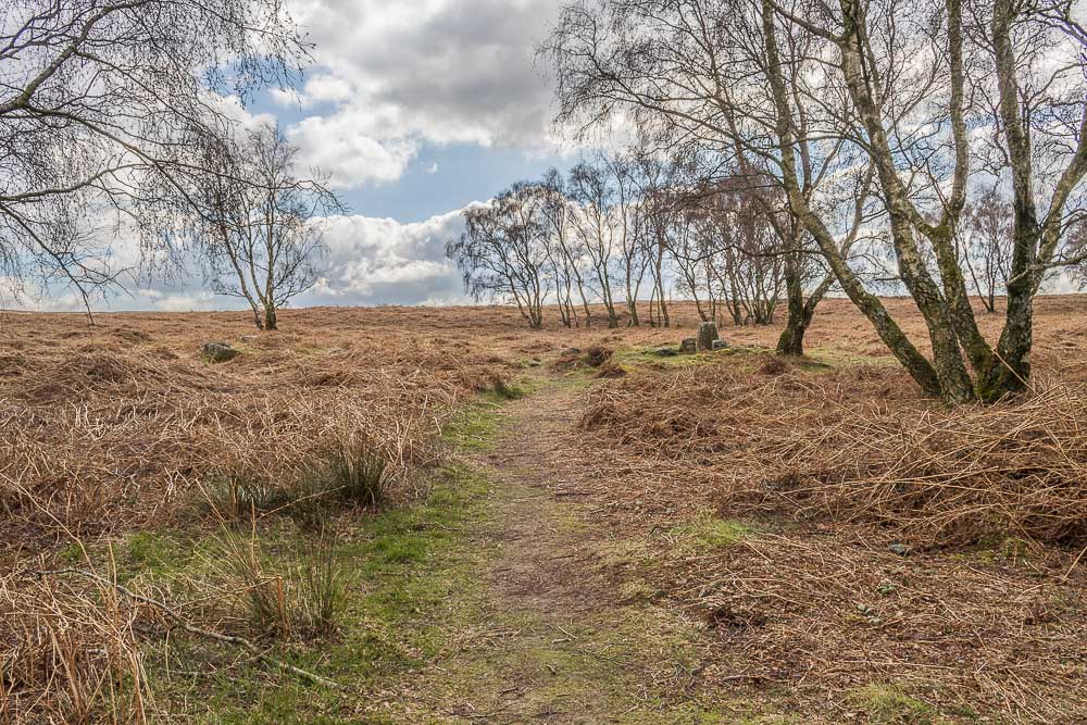 Froggatt Edge