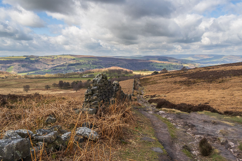 Offerton Moor