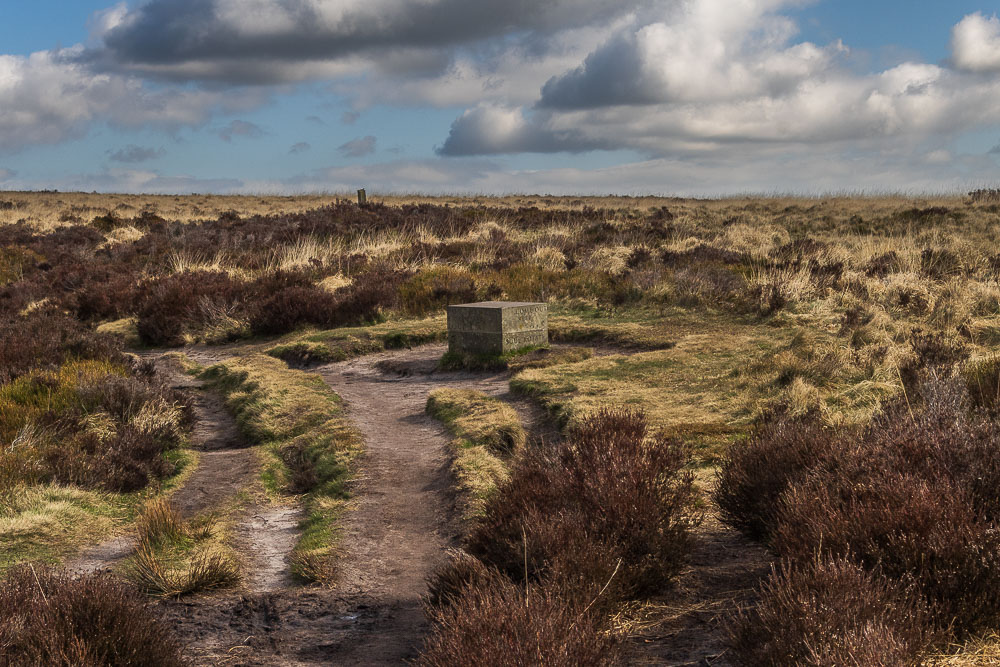 Companion Stone