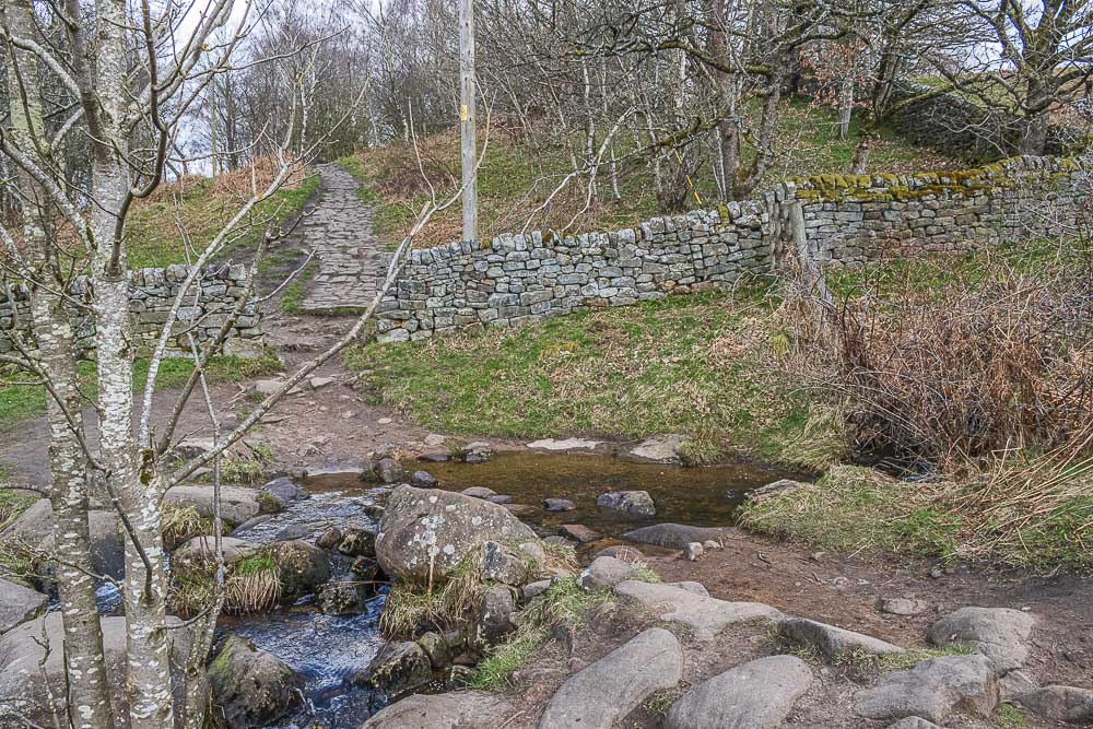Hay Wood