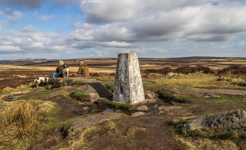 White Edge trig
