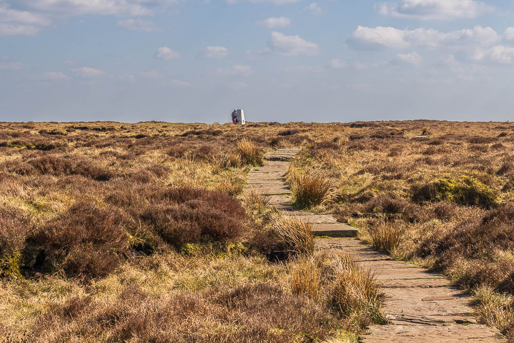 Brown Knoll