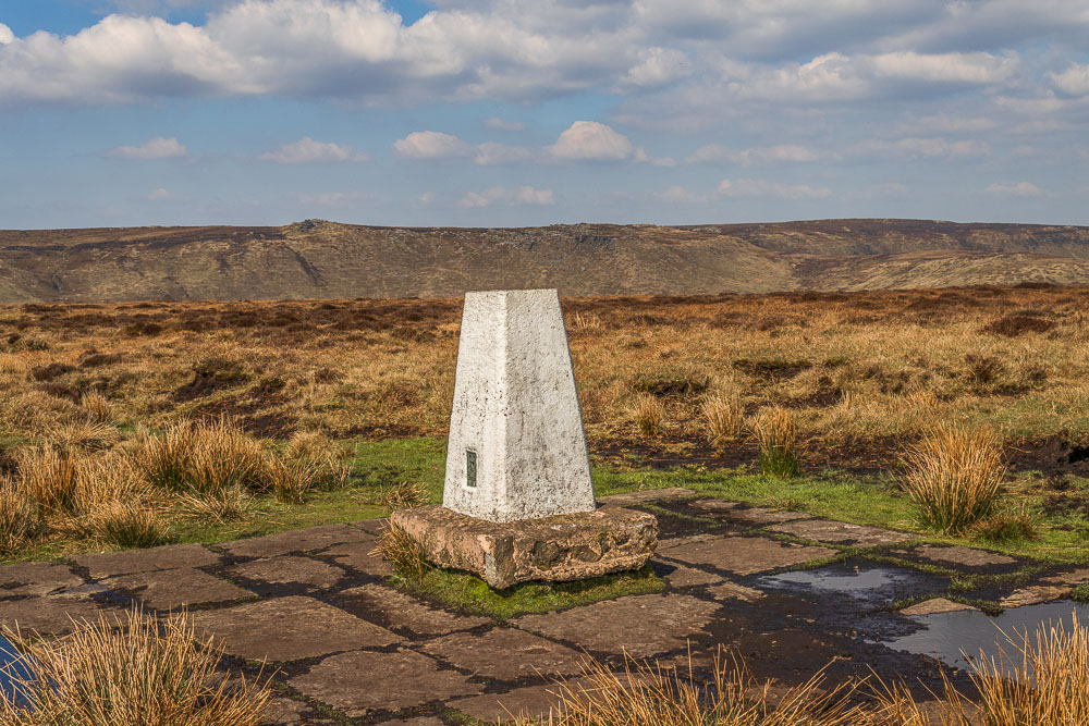 Brown Knoll