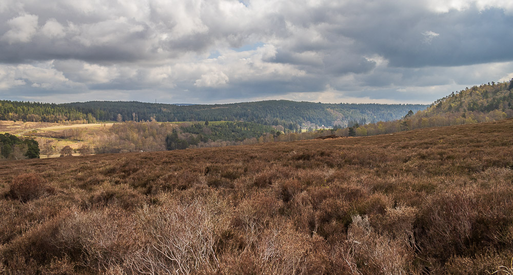 Cragside