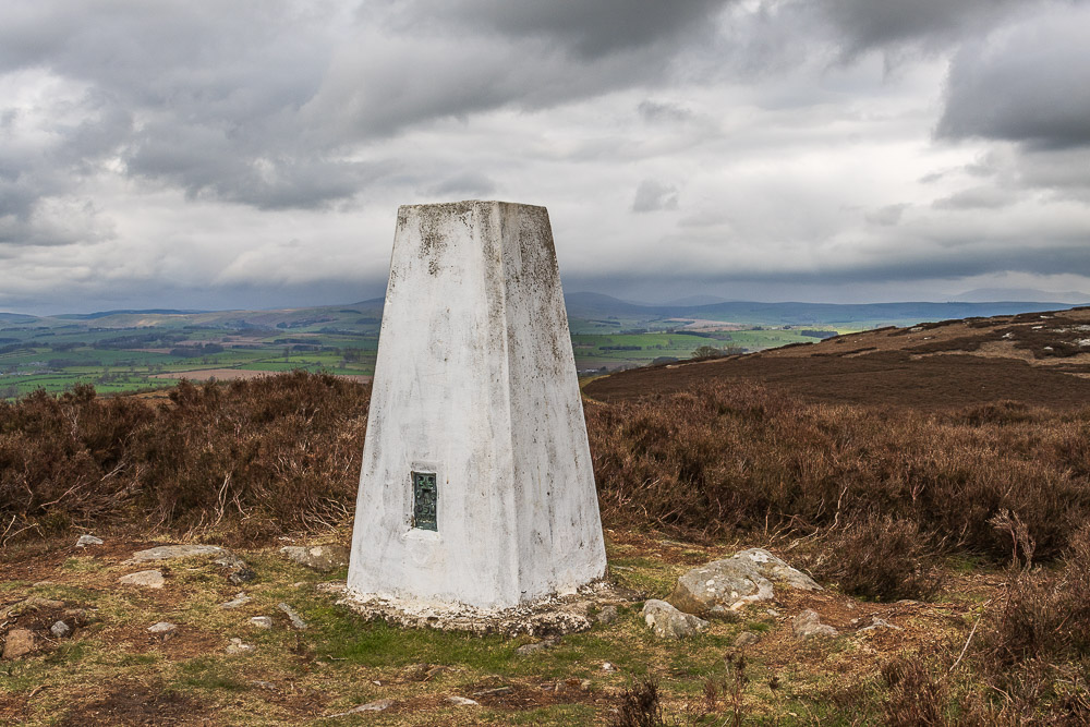 Target Plantation trig