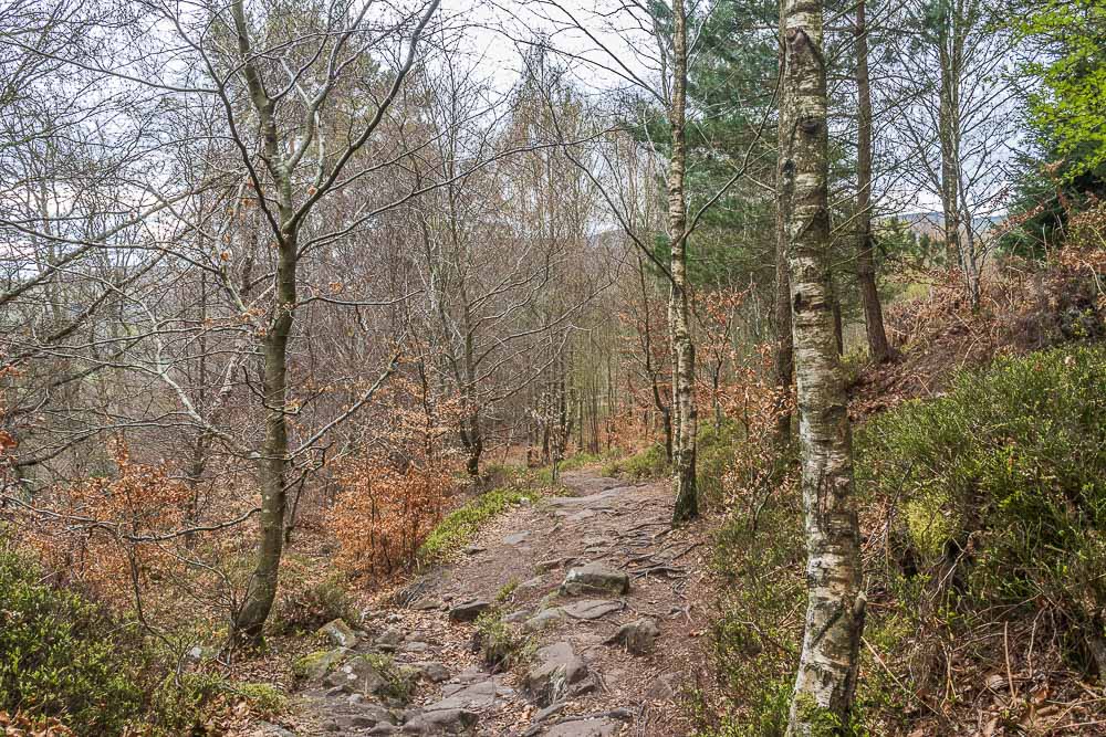 Blaeberry Hill