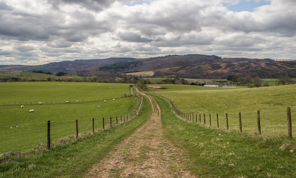 Harbottle Crags
