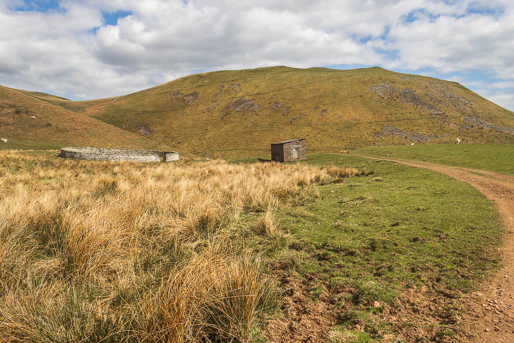 Saugh Rigg
