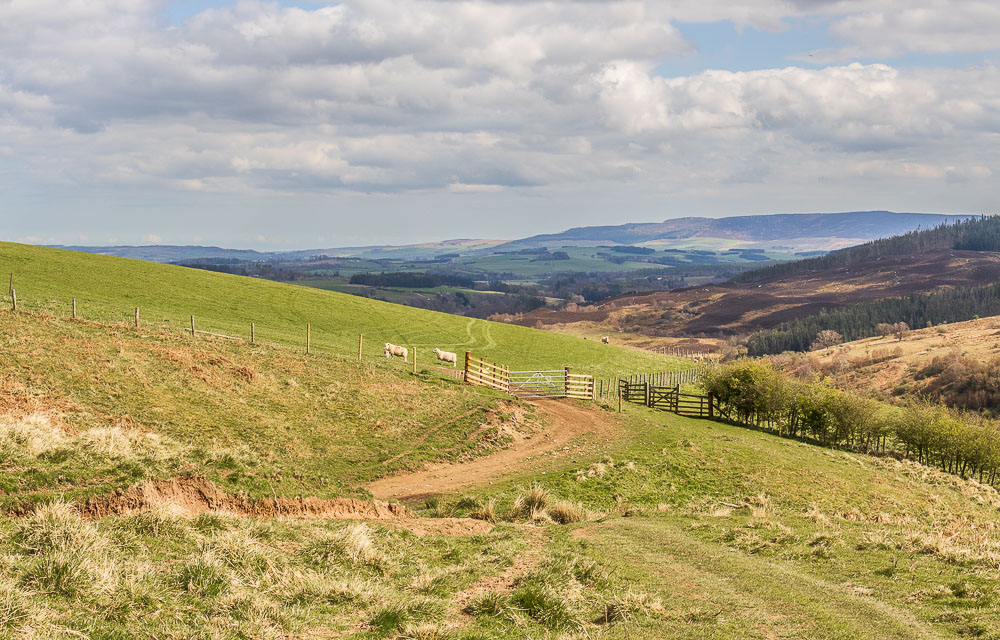 Simonside Hills