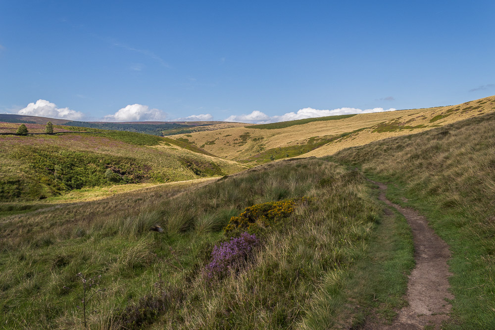 Wildmoorstone Clough