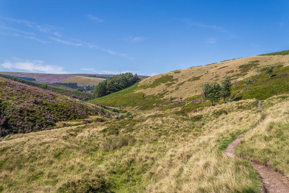 Wildmoorstone Clough