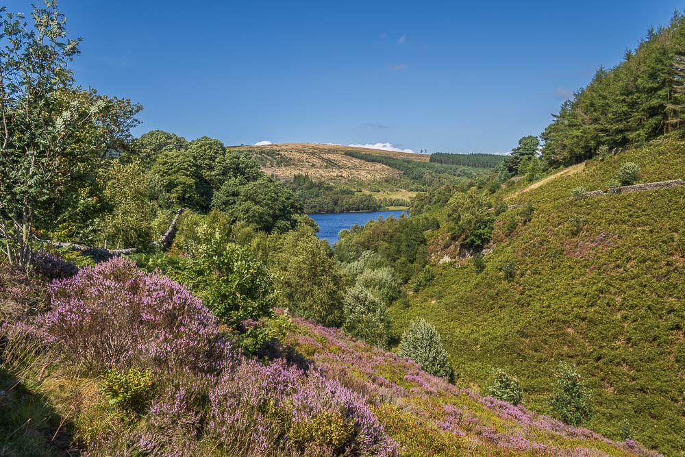Errwood Reservoir