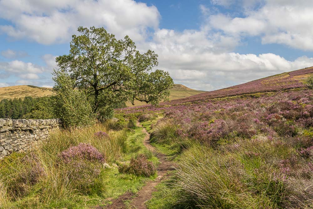 Goyt Valley