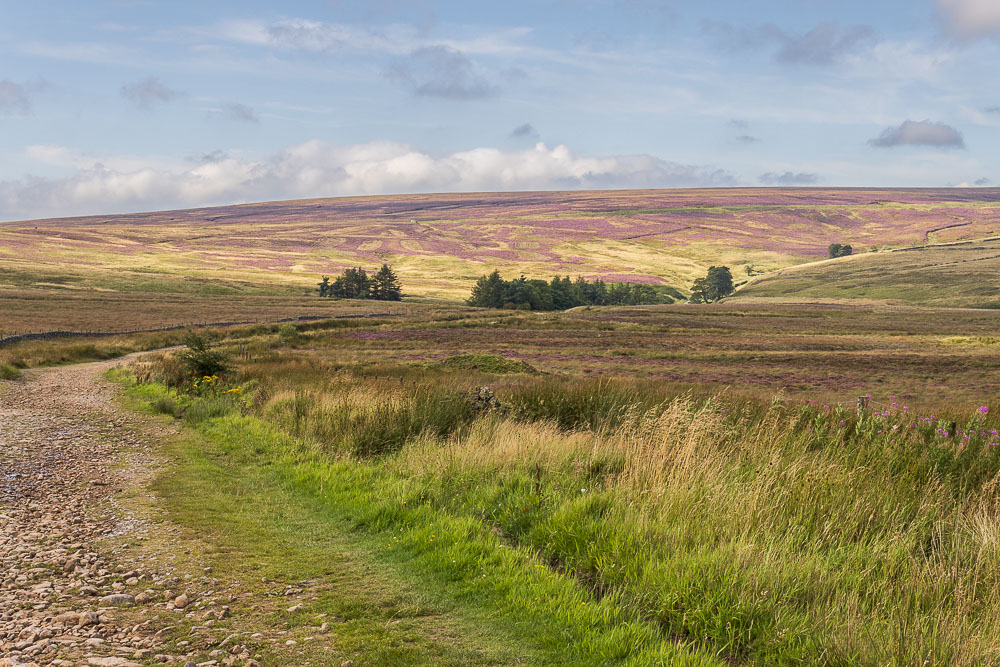 Whetstone Ridge
