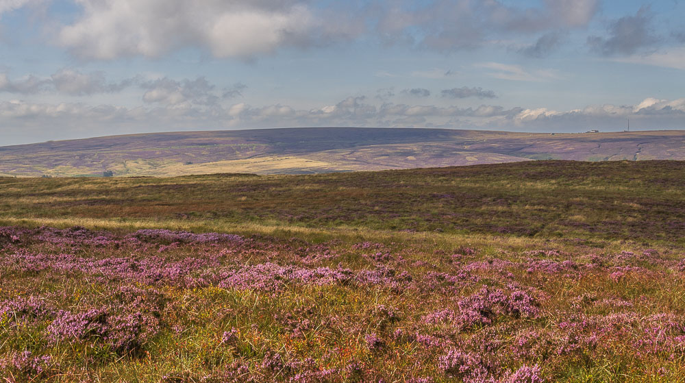 Whetstone Ridge