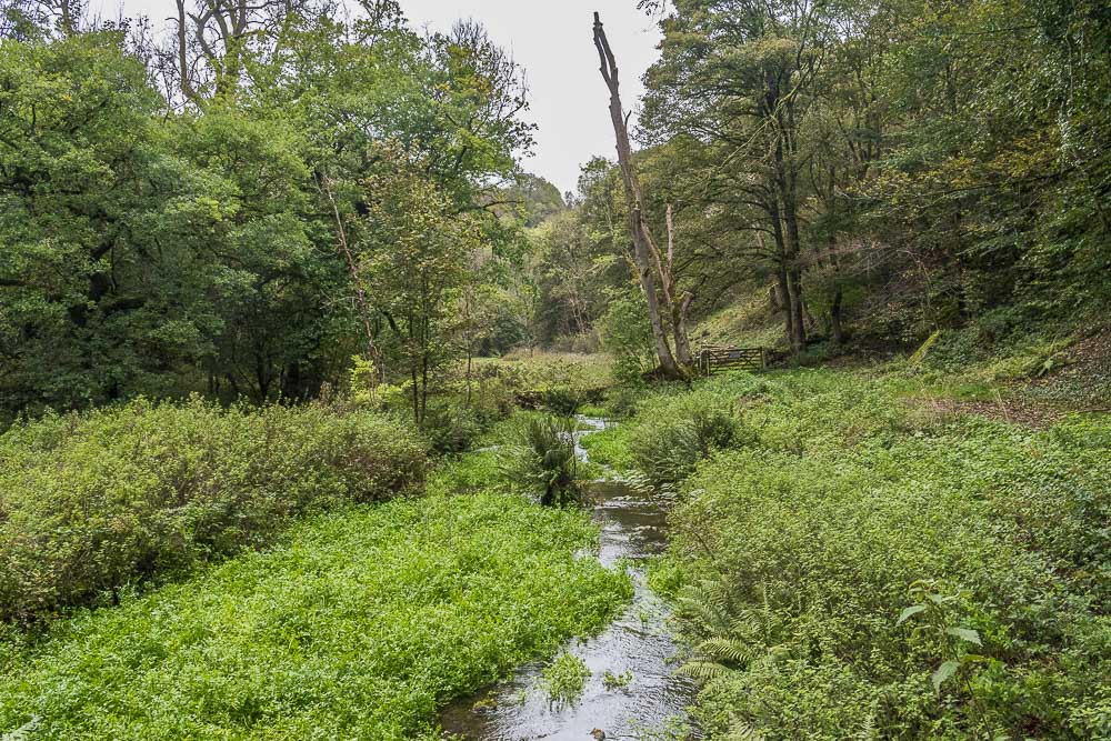 Bradford Dale