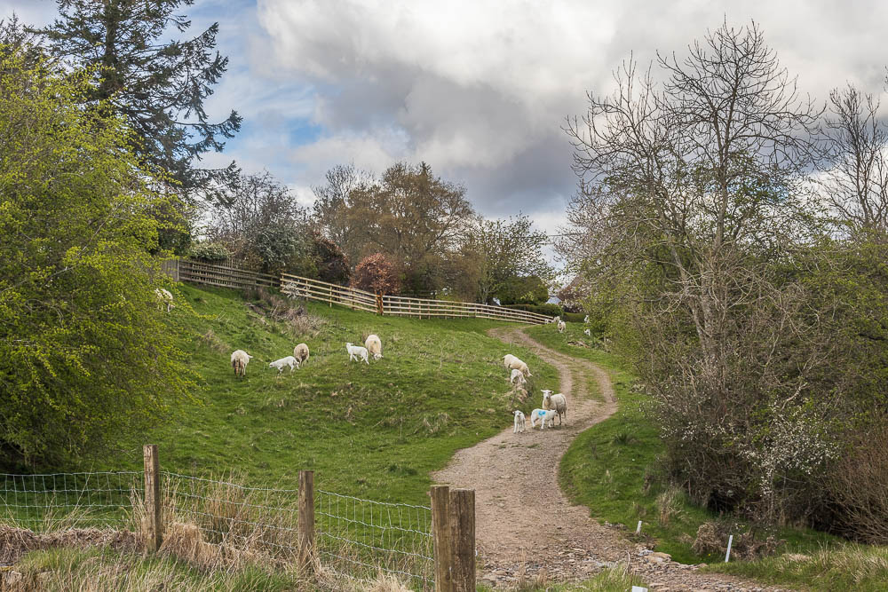 Whittondean