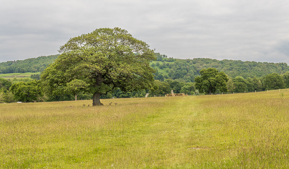 Chatsworth Park Chatsworth Park