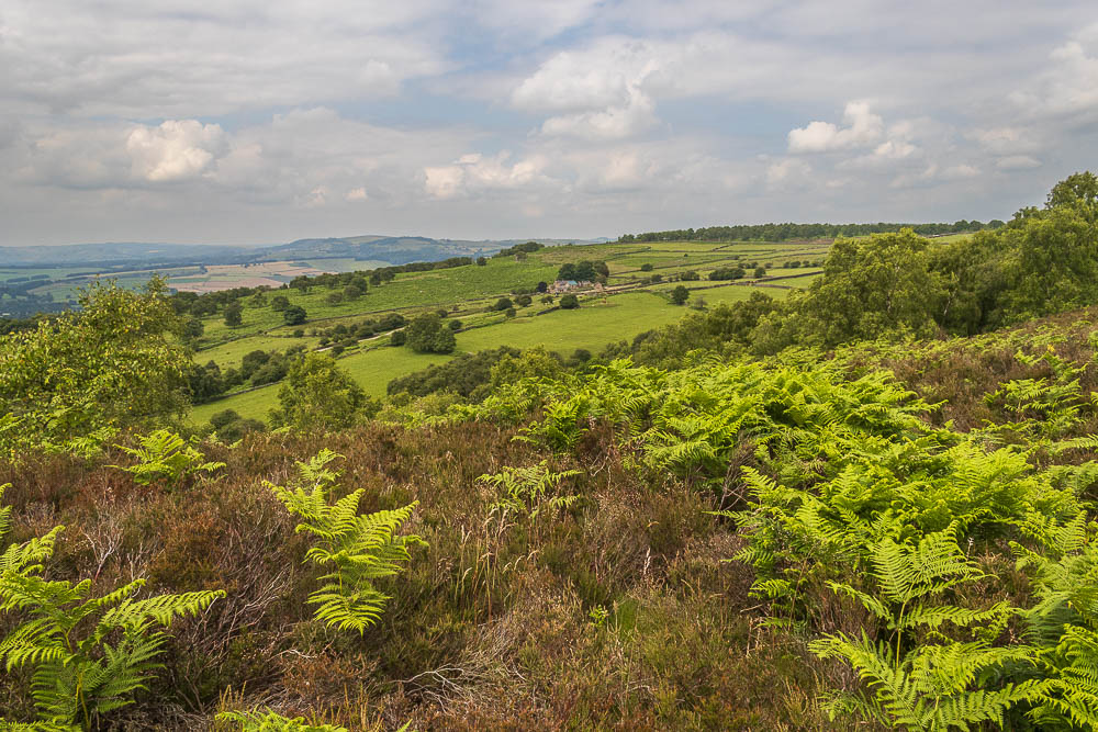 Longstone Edge Longstone Edge