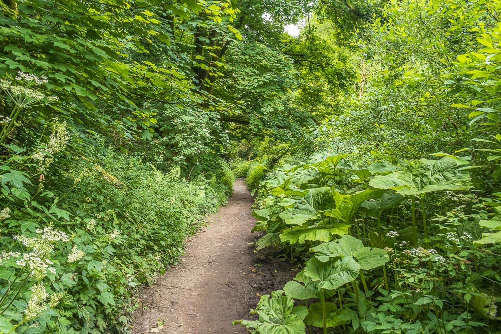 Beresford Dale Beresford Dale