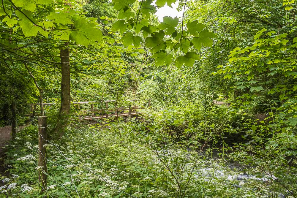 Beresford Dale Beresford Dale