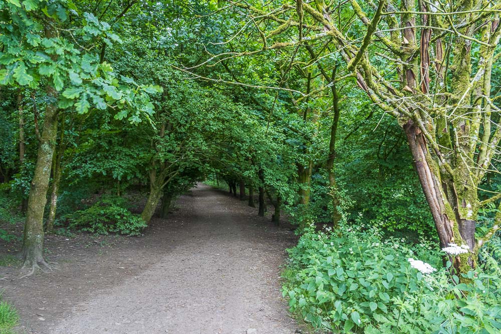 Morson Wood Morson Wood