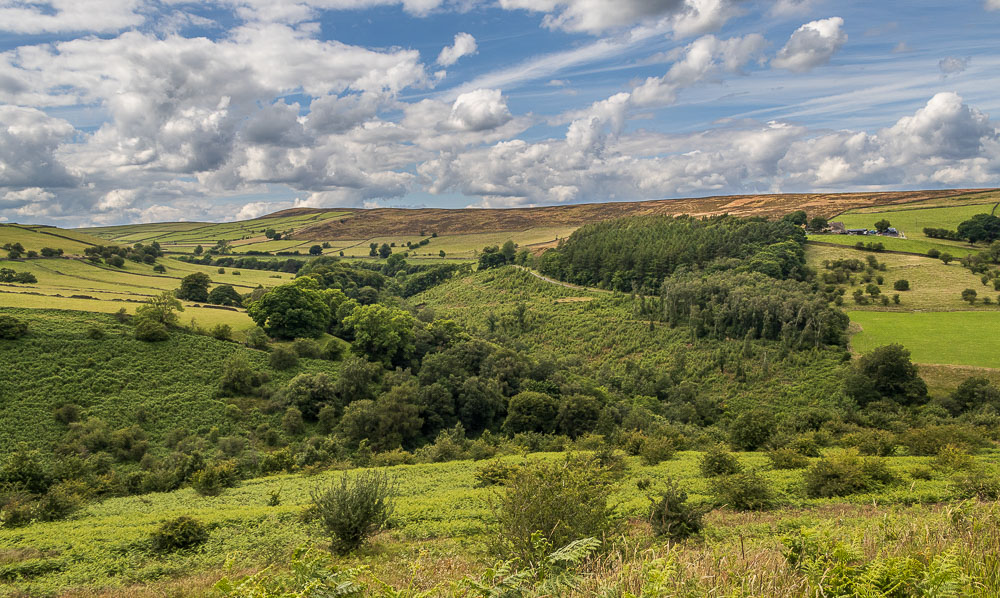 Abney Moor Abney Moor